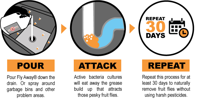 Are You Struggling With Fruit Flies In Baton Rouge?